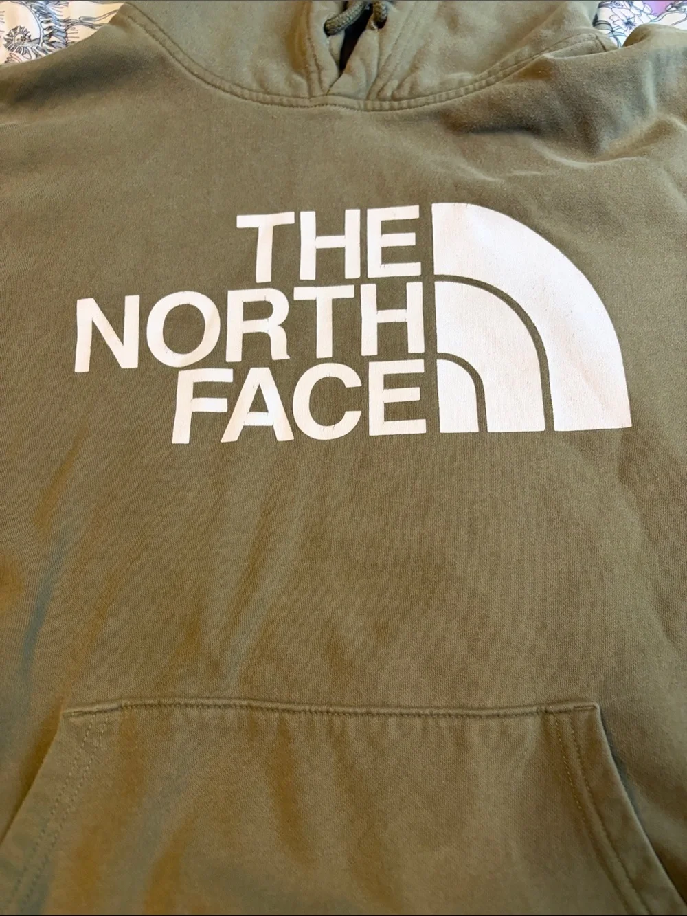 The North Face Men's Olive Logo Pullover Hoodie
